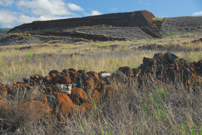 Puukohola Heiau