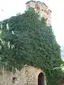 Sant Urbà de Montesquiu