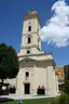 Црква Светих апостола Петра и Павла