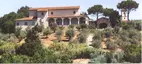 San Francesco a Bonistallo