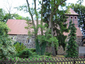 Dorfkirche Reesen