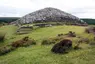 The Grey Cairns of Camster