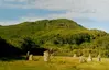 Loch Buie Stone Circle