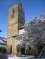 Martinskirche (Neckartailfingen)