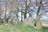 Dunnideer Stone Circle