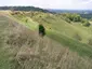 Beacon Hill Hillfort