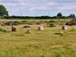 Gors Fawr stone circle