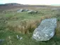 Cultoon,stone circle 500m SW of