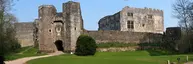 Berry Pomeroy Castle