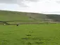 Stone circle, defended settlement, Romano-British farmstead and field system, Roman camp and group of shielings immediately south of Greenlee Lough