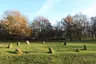 Nine Ladies Stone Circle