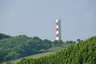 Gribbin Tower