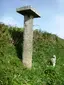 Trevenning Cross and post-medieval guide post, 700m south west of Trevenning village