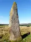 : Edderton I Standing Stone - Clach Biorach - The Sharp Stone