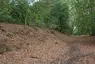 Malwood Castle Hillfort