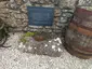 Zennor Plague Stone