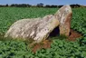 West Lanyon Quoit