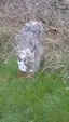 Boundary stone at junction with B6278