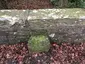 Boundary Stone