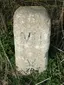 Milestone 7, Cambridge to Newmarket