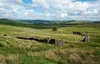 Woodhead Lead Mine