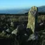 Bryn Seward standing stones and field system with associated cairns