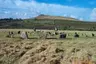 Yellow Mead Stone Circle