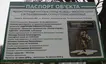 Дерево Свободи
