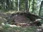 Ruine Fründsberg