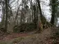 Ruine Heuberg