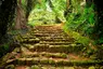 Entebbe Botanical Gardens