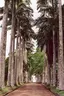 Aburi Botanic Gardens