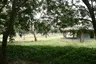 Afua-Sutherland-Park