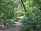 Karagachev Grove