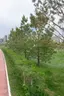 Botanical Garden