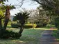 大崎公園