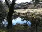 Tamozawa Imperial Villa Memorial Park