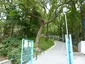 Central Kwai Chung Park