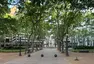 Plaza Matriz