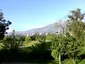 Parque La Carolina