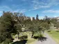 La Alameda