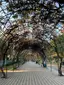 Parque Juan XXIII