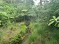 Kawaka Reserve