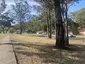 Costa Park