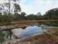 Blue Gum Reserve