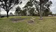 Mannix Park