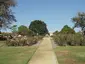 Peace Memorial Rose Garden