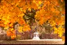 Guilford Courthouse National Military Park