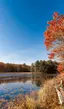 Chenango Valley State Park