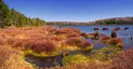 Black Moshannon State Park